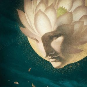 Meet your Posher, Kellie